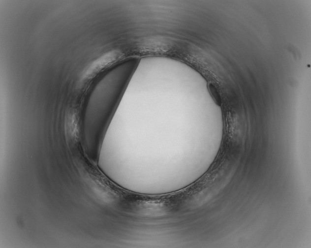 X0000112970692200909241327