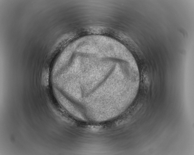 X0000112970694200909241327