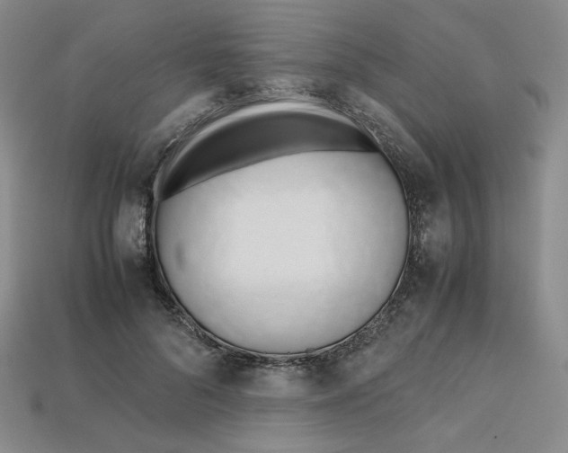 X0000112970696200909241327