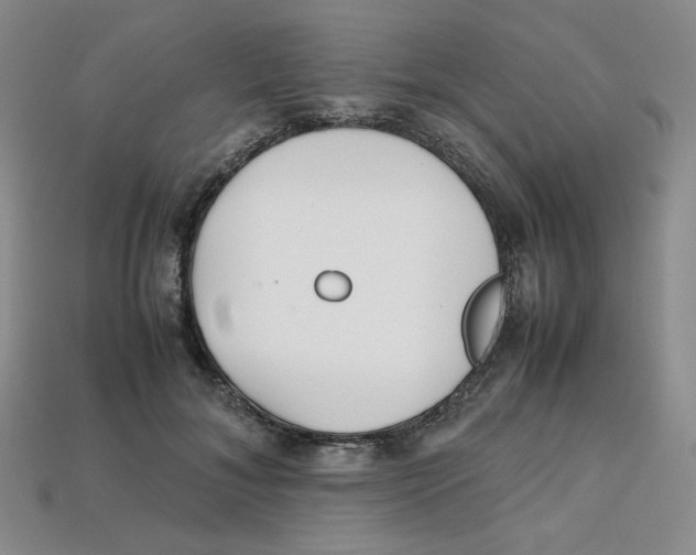 X0000112970700200909241327