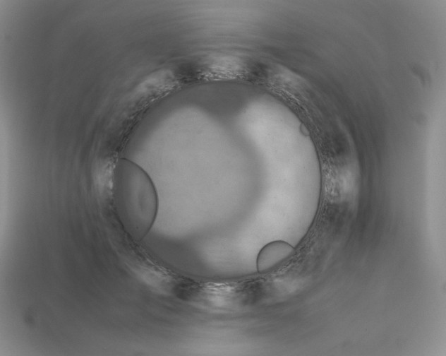 X0000112970701200909241327