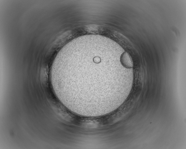 X0000112970702200909241327