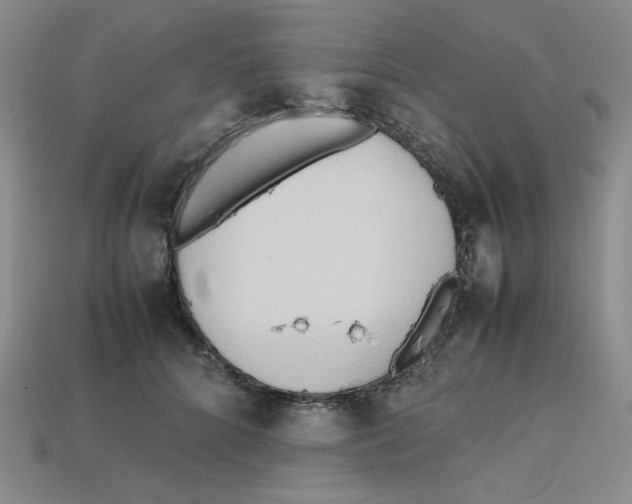 X0000112970704200909241327