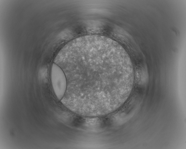 X0000112970705200909241327