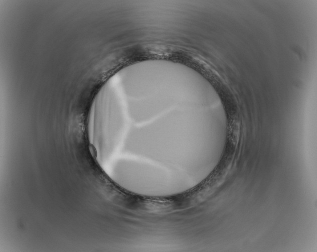 X0000112970707200909241327