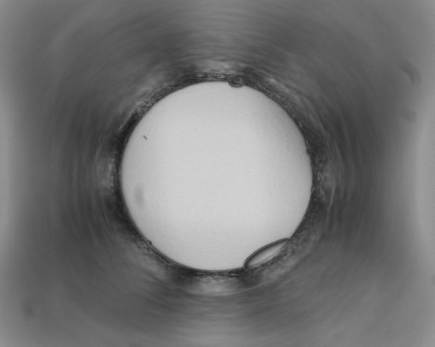 X0000112970708200909241327