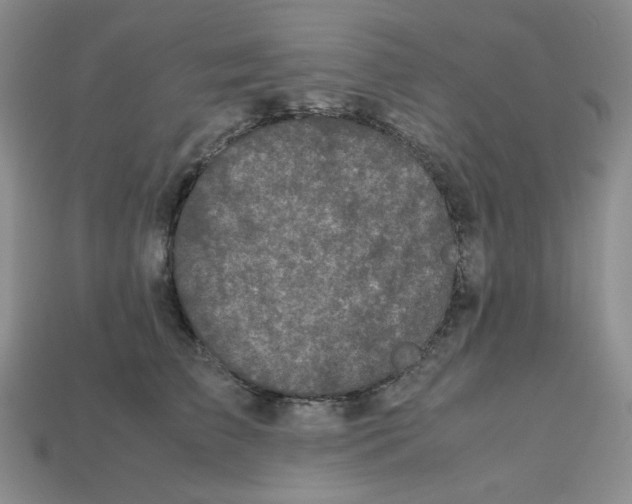 X0000112970709200909241327