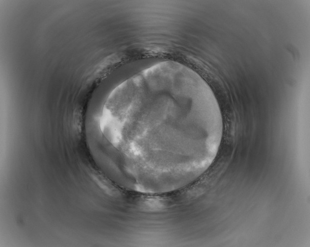 X0000112970710200909241327