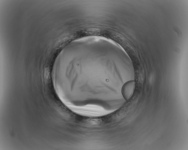 X0000112970711200909241327