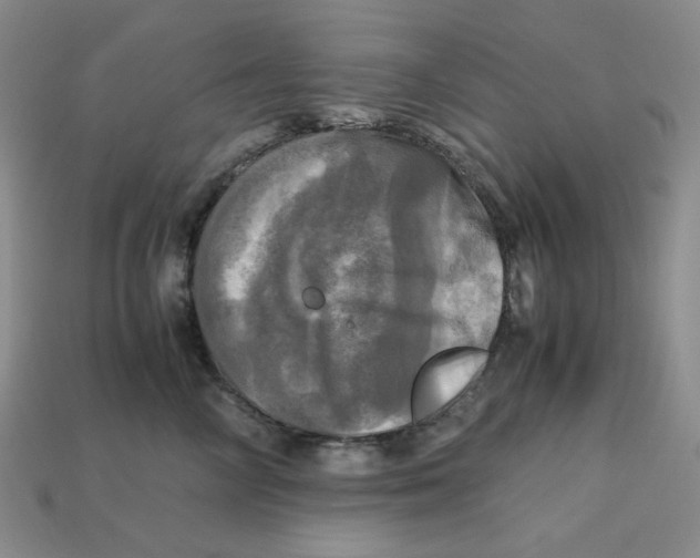 X0000112970714200909241326