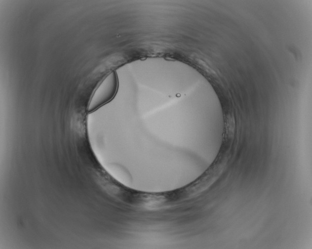 X0000112970719200909241326