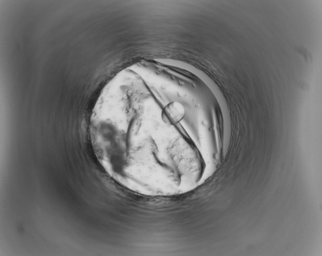 X0000112970720200909241326