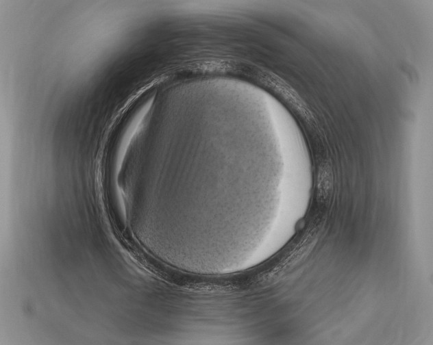 X0000112970722200909241326