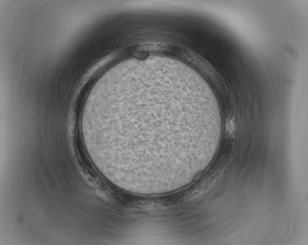 X0000112970724200909241326