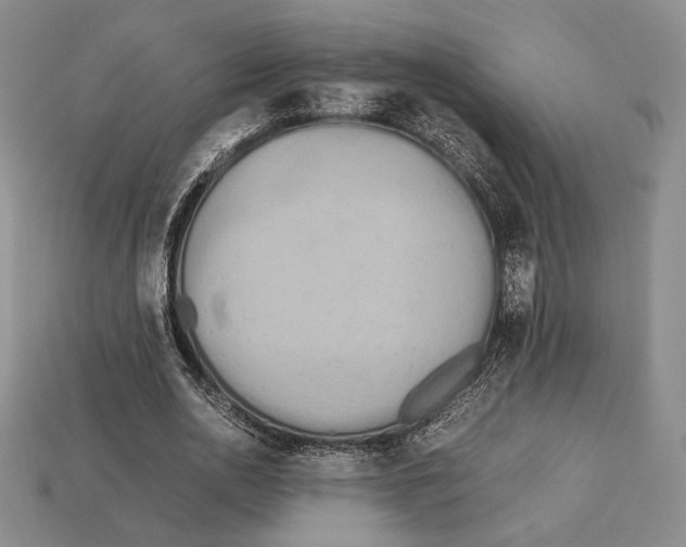 X0000112970726200909241326