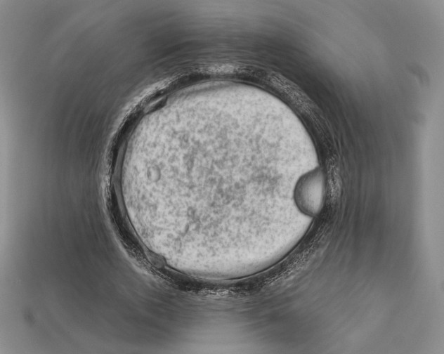X0000112970728200909241326