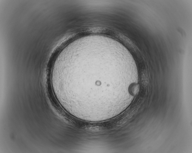 X0000112970730200909241326