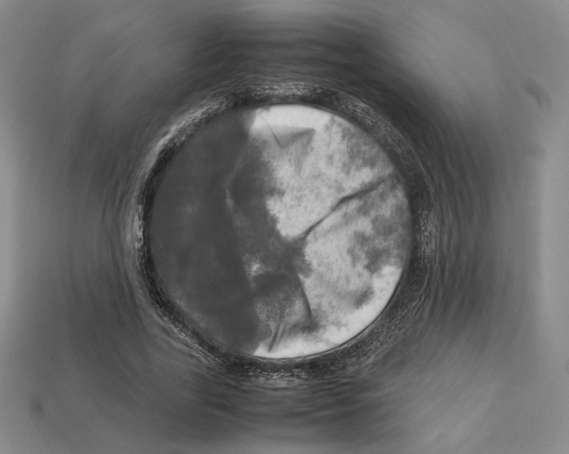 X0000112970731200909241326