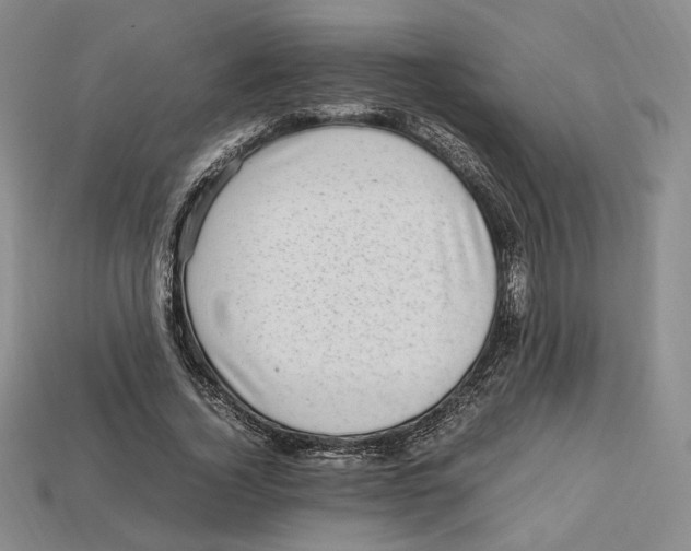 X0000112970732200909241326