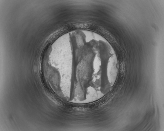 X0000112970733200909241326