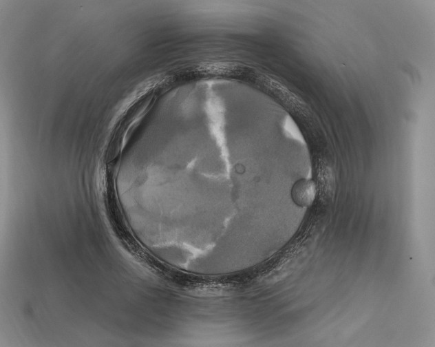 X0000112970734200909241326