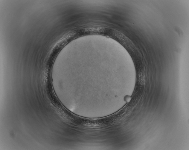 X0000112970735200909241326