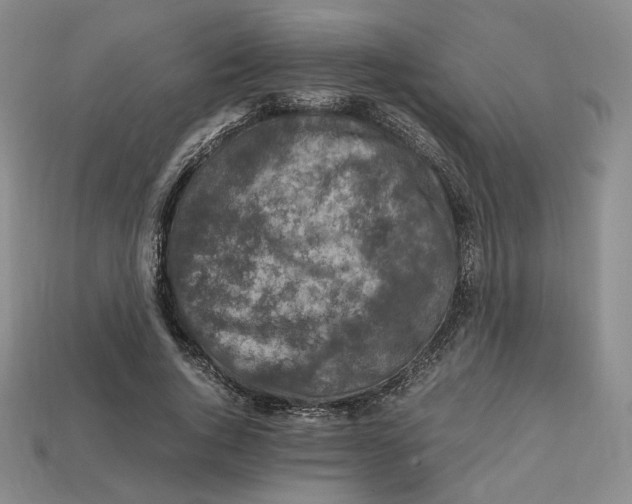 X0000112970736200909241326
