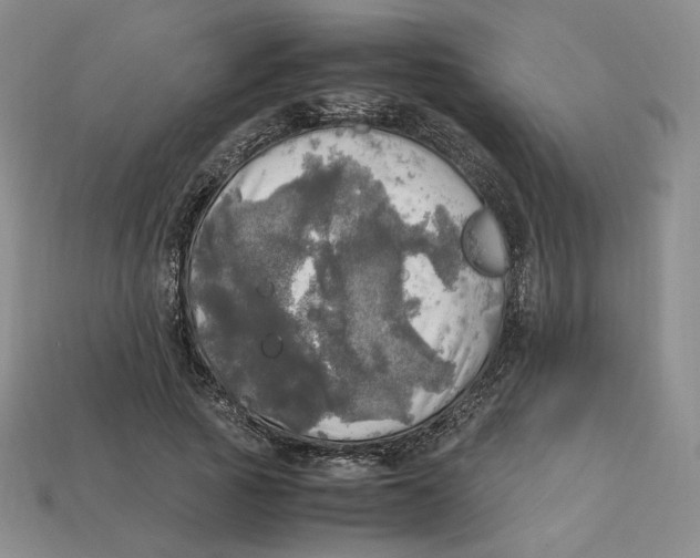 X0000112970737200909241326