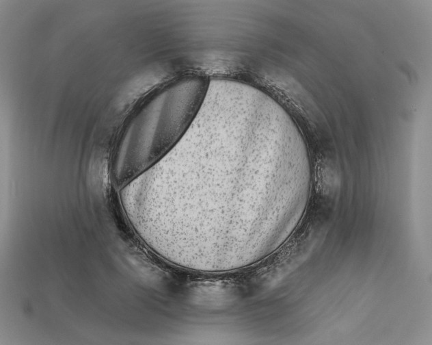 X0000112970740200909241326