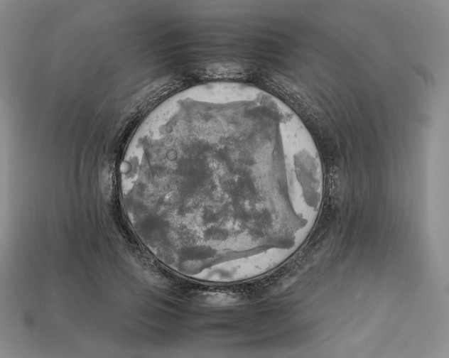 X0000112970741200909241326