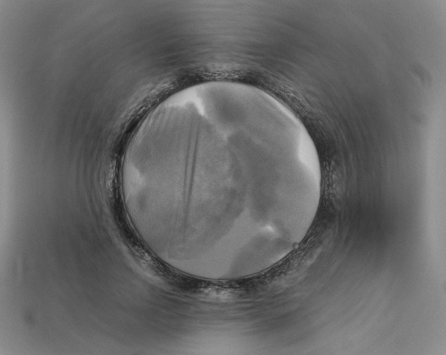 X0000112970742200909241326