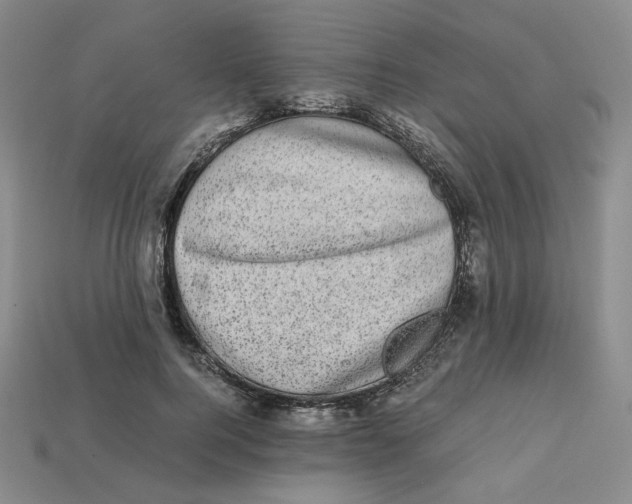 X0000112970744200909241326