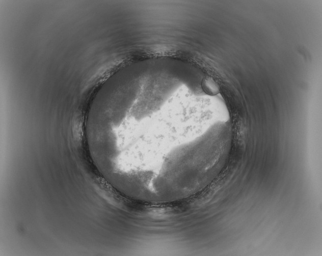 X0000112970746200909241326