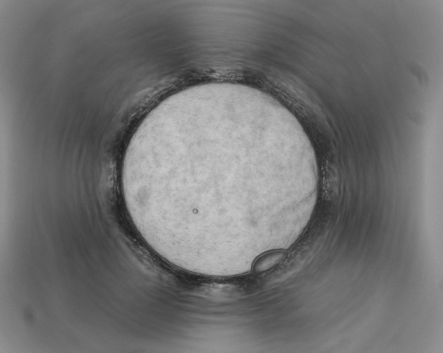 X0000112970748200909241326
