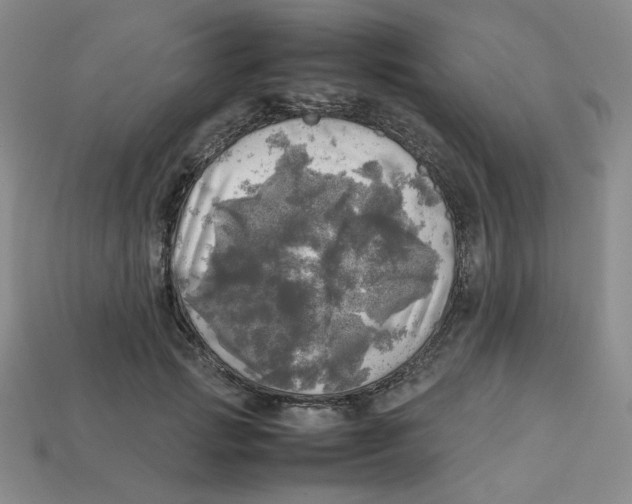 X0000112970749200909241326