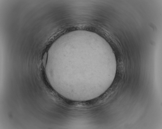X0000112970750200909241326