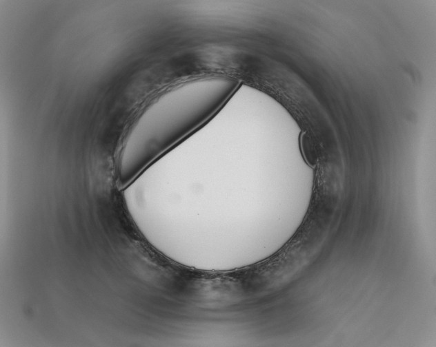 X0000112970752200909241326