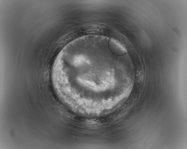 X0000112970753200909241326