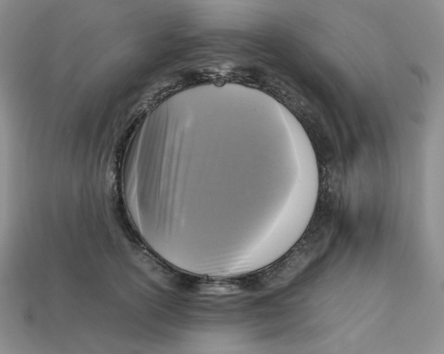 X0000112970754200909241326