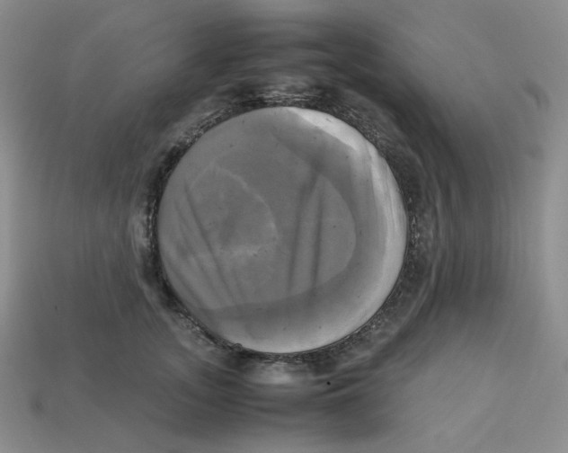 X0000112970755200909241326