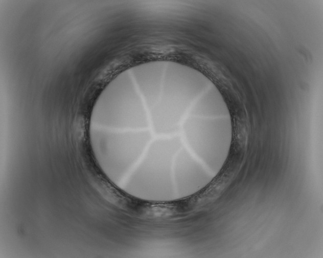 X0000112970758200909241326