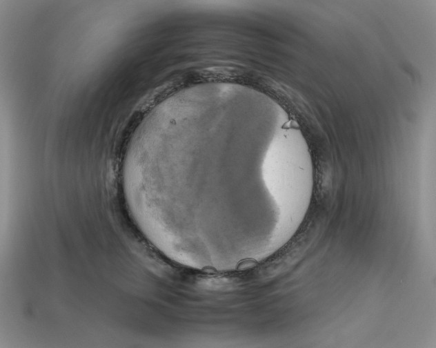 X0000112970759200909241326