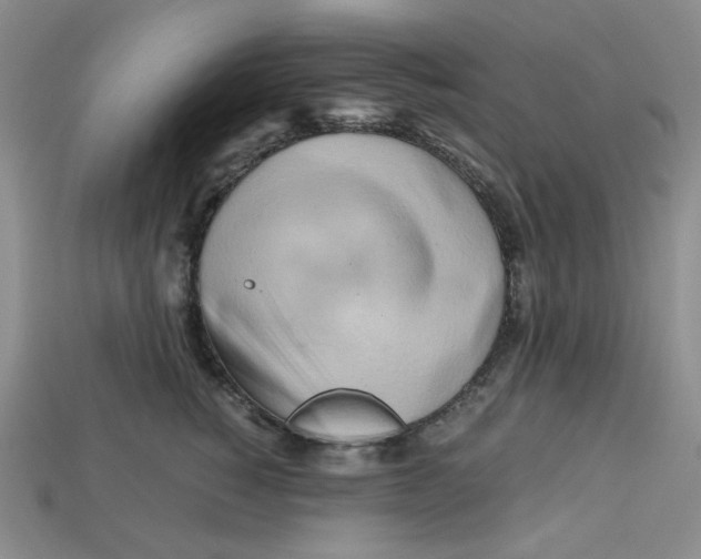 X0000112970760200909241326