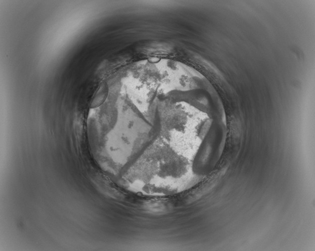 X0000112970761200909241326
