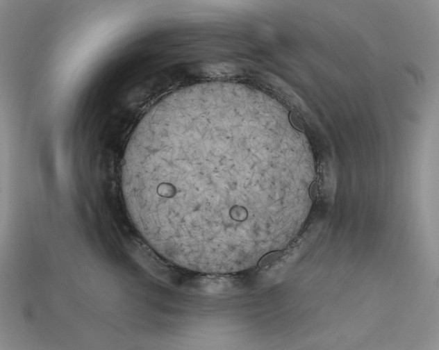 X0000112970762200909241326