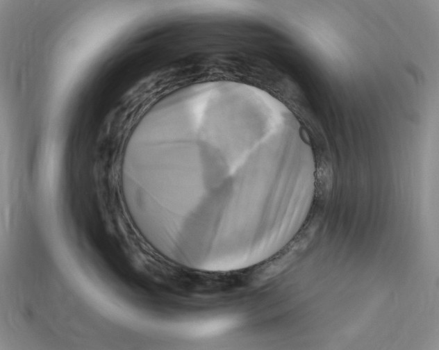 X0000112970765200909241326