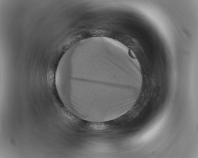 X0000112970767200909241326