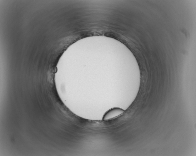 X0000112970768200909241326