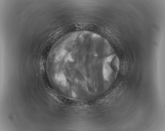 X0000112970770200909241326