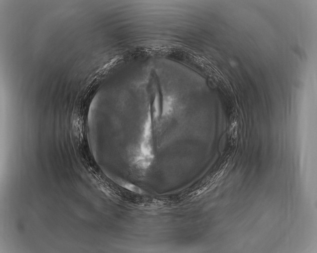 X0000112970772200909241326